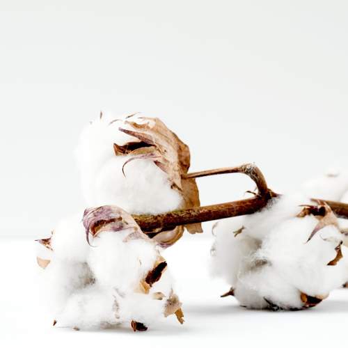 Why Choose 100% Cotton Pilot Shirts?